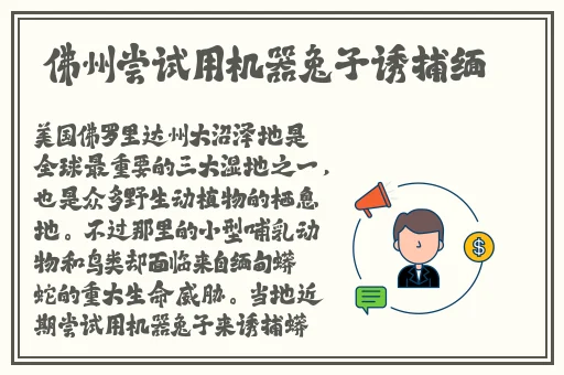 2发琴乔巴罗宾o到无力
